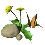 (160x160, 36Kb)