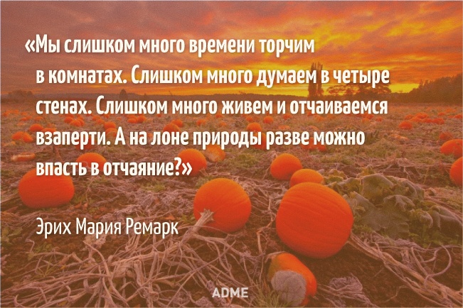 Смотрит осень в мои глаза...Пора поэтов...