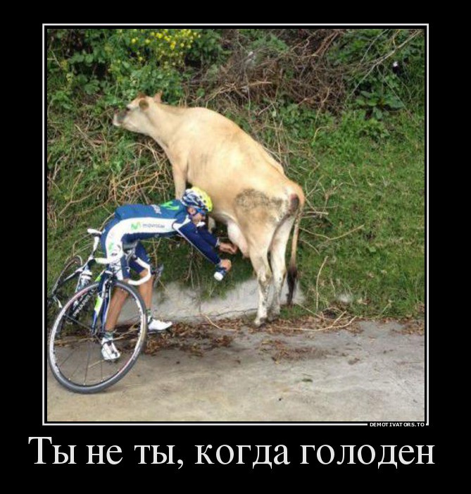Ты не ты когда голоден! Ты не ты когда голоден, позитив, прикол, юмор