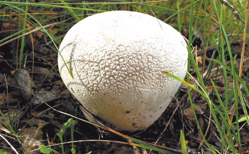 ����-��������