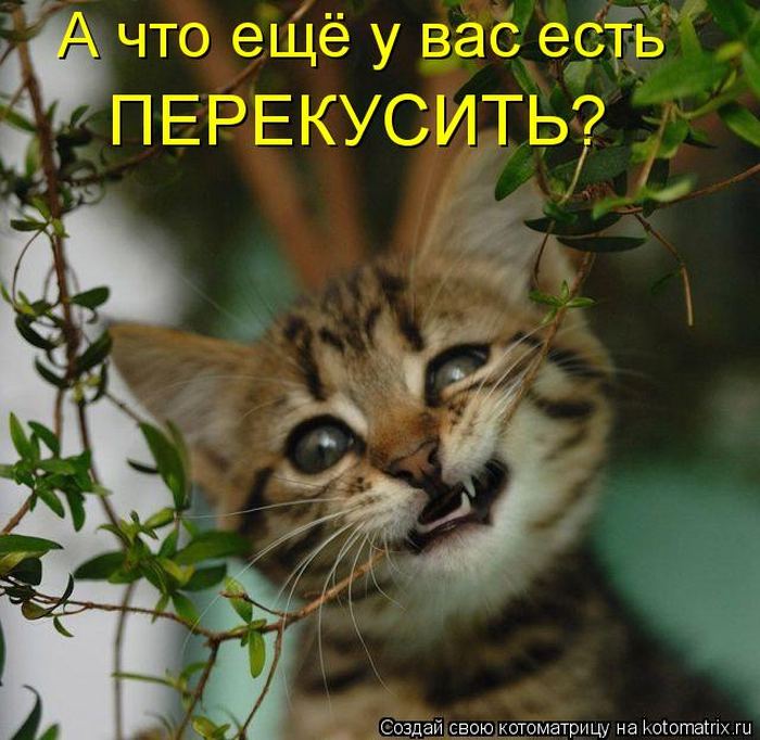   :)