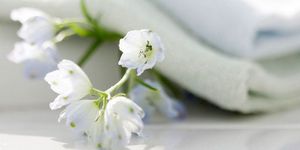 Очищение - время пришло