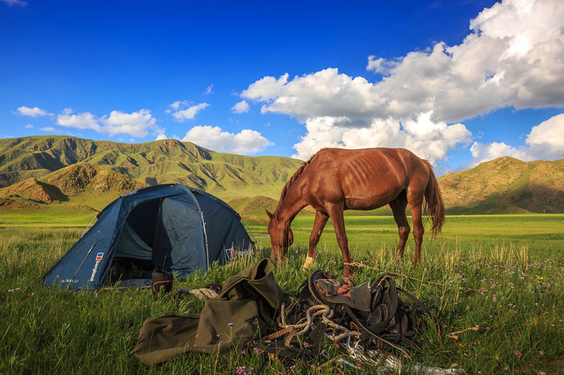 Путешествие по Киргизии на лошадях киргизия, лошадь, путешествие