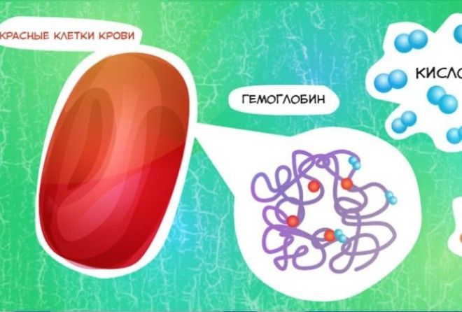 Надо знать!