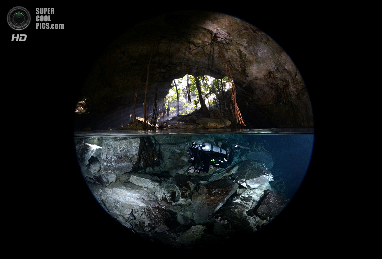 : Over/Under. 1 . (Uwe Schmolke/UnderwaterPhotography.com)