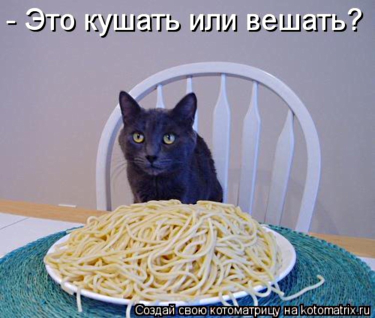 Пятничная котоматрица! Пятничная котоматрица!
