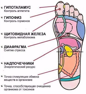 Рефлексология стопы: 7 активных точек