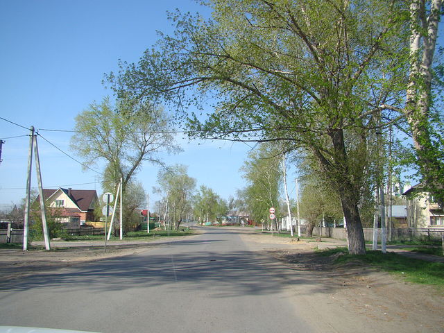 Улица Ленинская глубинка, россия, село, фото