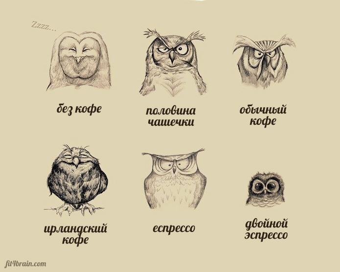 Это я : животные, в которых легко можно узнать себя Это я : животные, в которых легко можно узнать себя