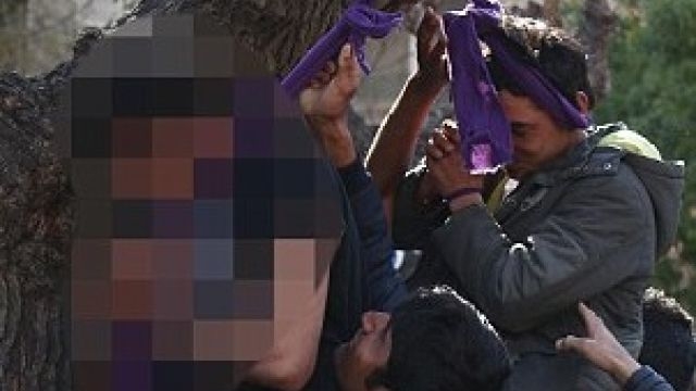 Обезумевшие мигранты вешаются на деревьях в центре Афин