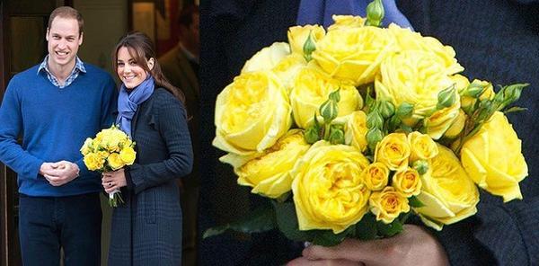 Королевский выбор &ndash; романтические розы Дэвида Остина, фото сайта vk.com