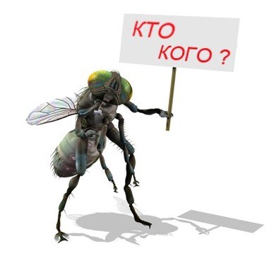 как избавиться от паразитов коньяком и касторкой как избавиться от паразитов коньяком и касторкой