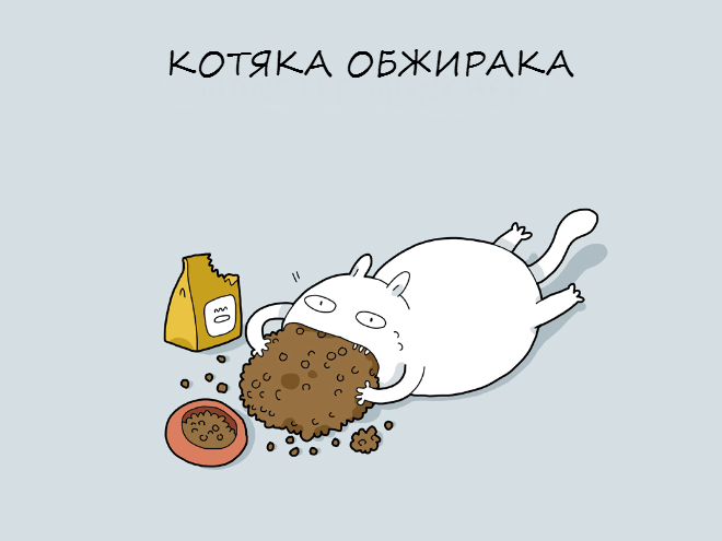 crazycat01