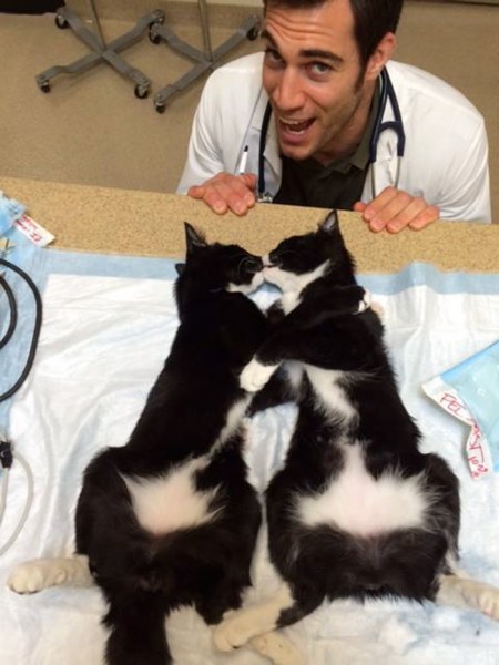 Сексуальный ветеринар покорил Интернет снимками с животными (30 фото)