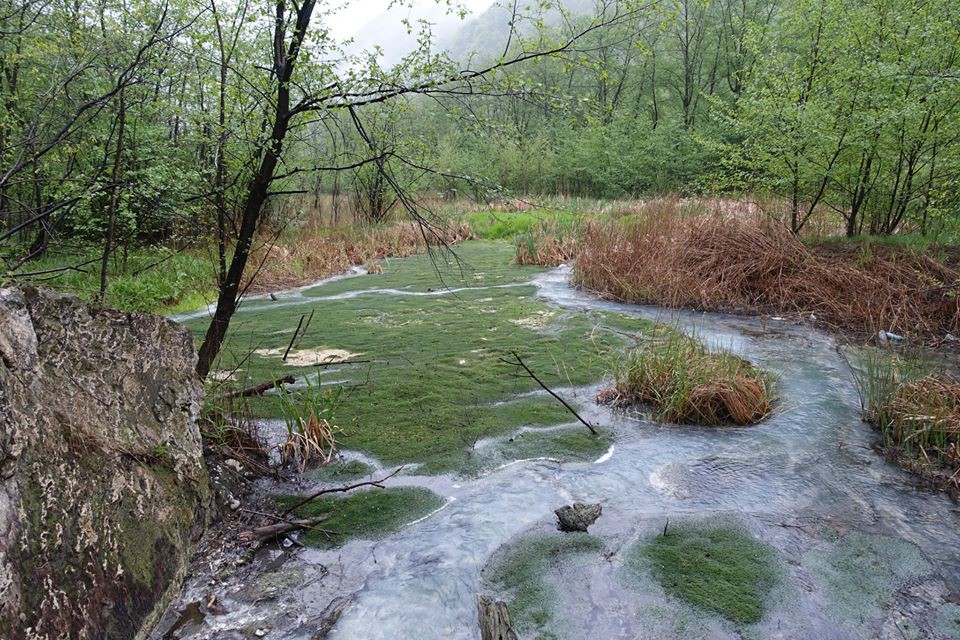 13. А вода в родниках безумно чистая. природа, северная осетия, фото