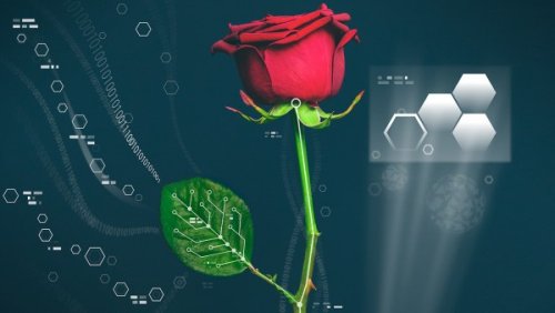 Растение с электронной схемой