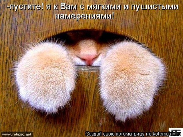 Для хорошего настроения 4