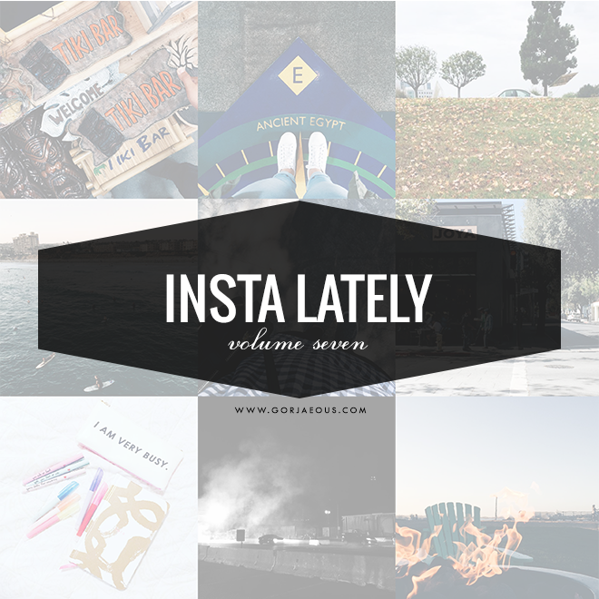Insta Lately: Vol. 7 | SCATTERBRAIN