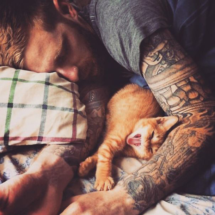 "Горячие парни с котятами" "Горячие парни с котятами"