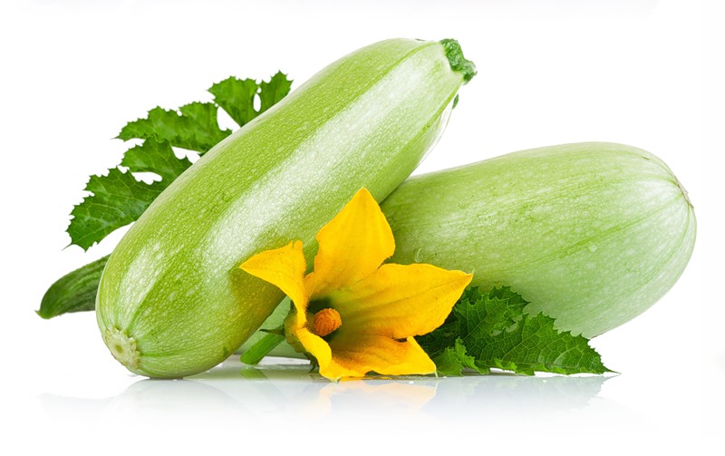 Vegetable - Cucumbers, squash and pumpkins  - ,   "    - - , 