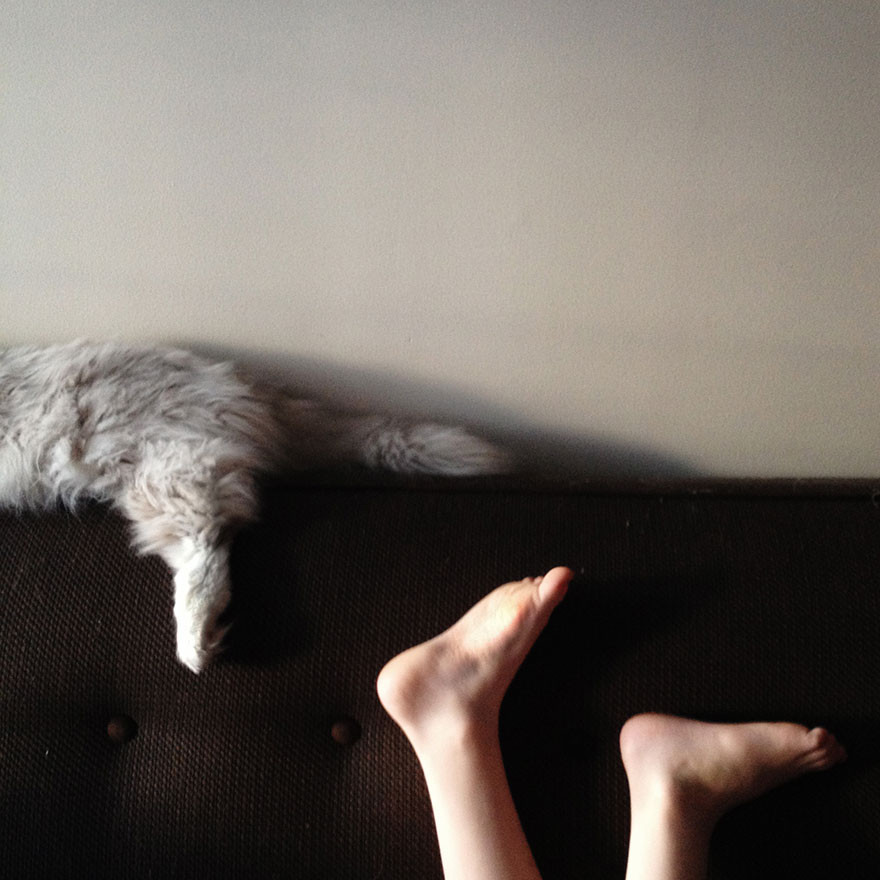 Мальчики и их кошки  кошка, мальчик, фото