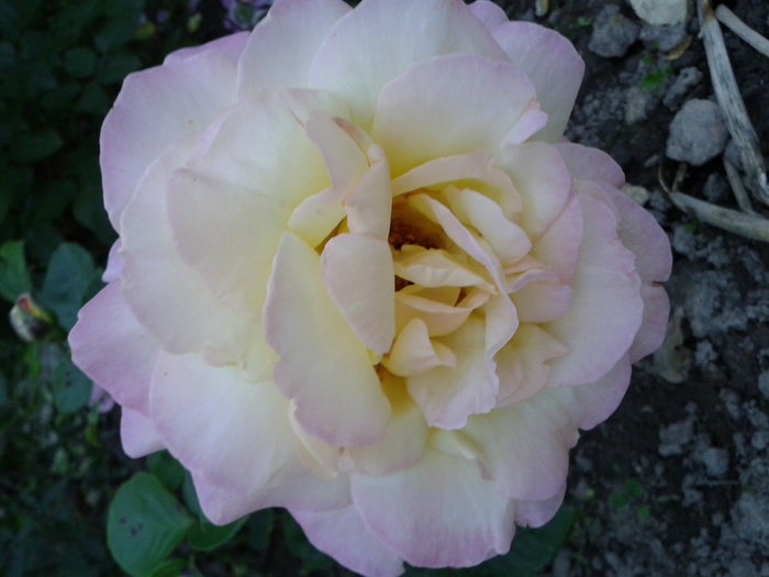 Фото-0335 (700x525, 102Kb)