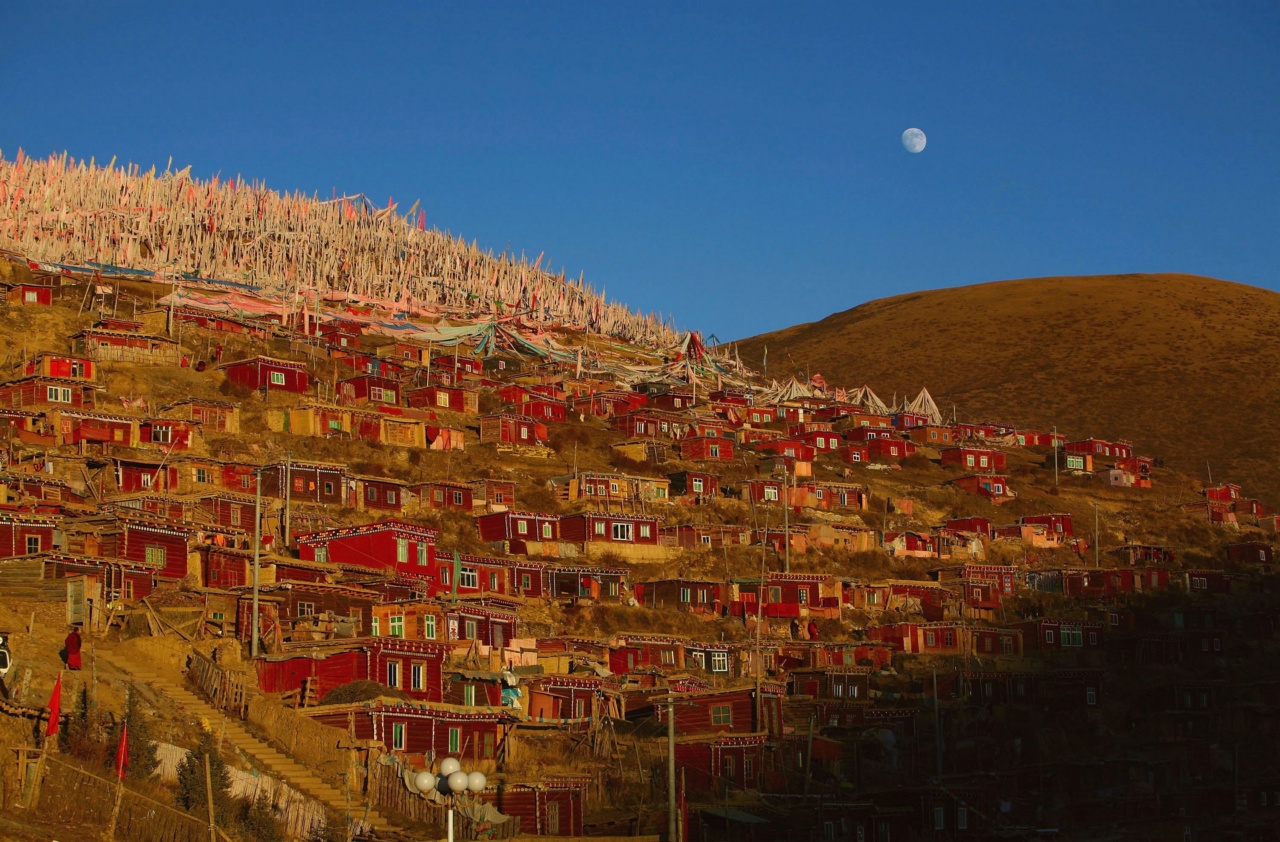 Monks And Nuns At Serthar Wuming Buddhist Study Institute