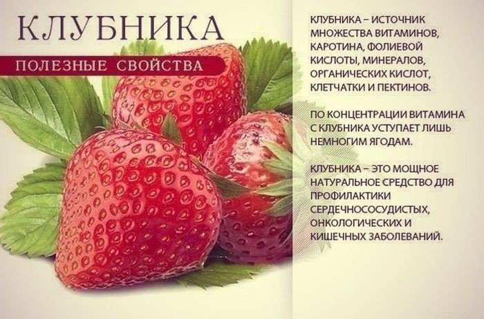  9 самых полезных продуктов для всего организма Полезные, фрукты, ягода