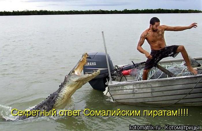 Мысли вслух :)