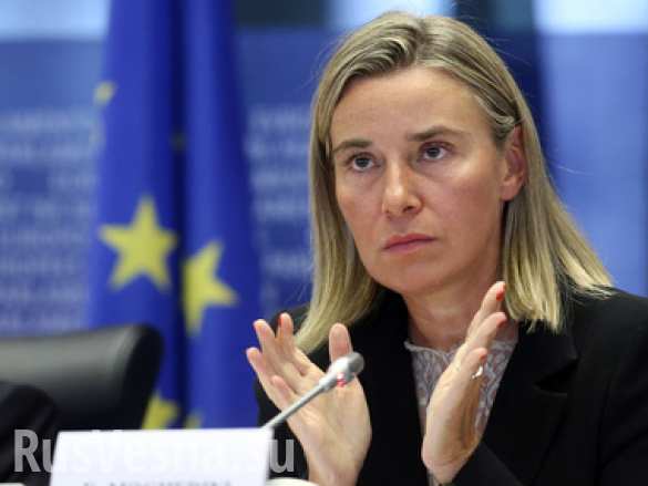 Глава дипломатии ЕС: Украине нужно беспокоиться о своих проблемах, а не о членстве в Евросоюзе | Русская весна