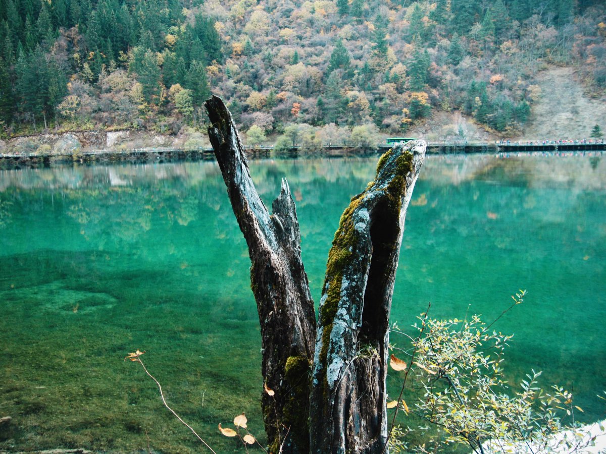 hike-through-the-yellowstone-of-china-jiuzhaigou-natural-reserve