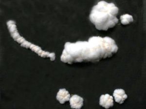 игрушки сухое валяние 1