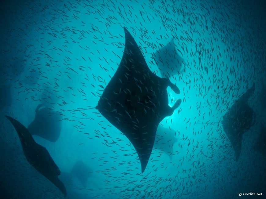 25 лучших фотографий National Geographic. Часть 1