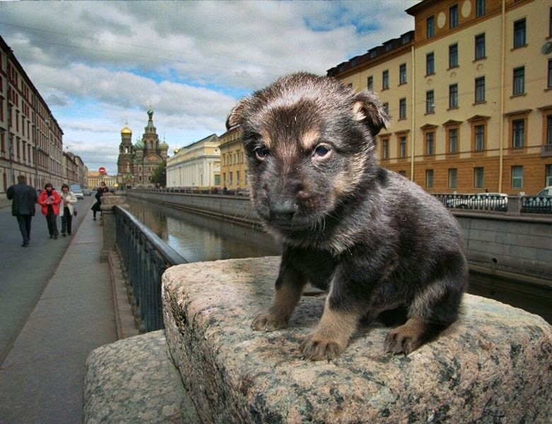 Петербург, каким мы его еще не видели города, история, факты