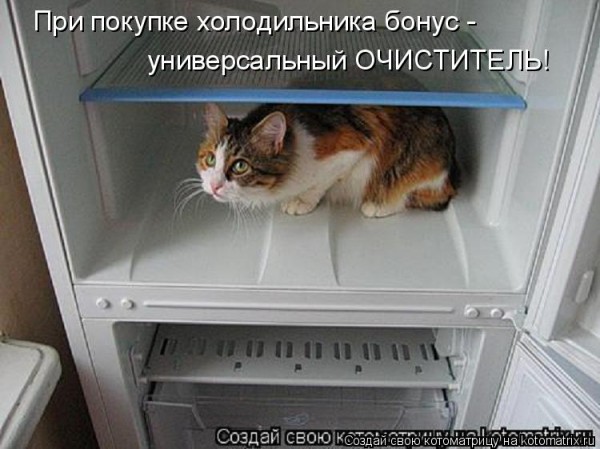 Мысли вслух :)