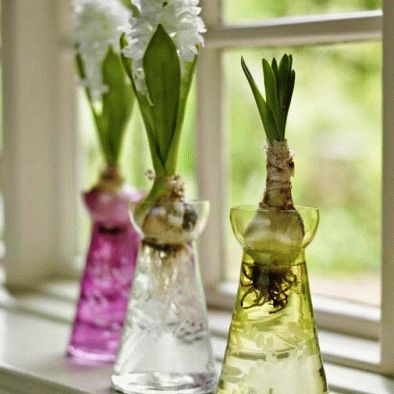 ������� ��������� �����