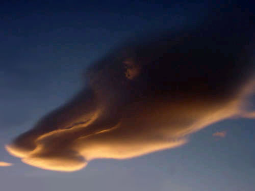 Облако рыба