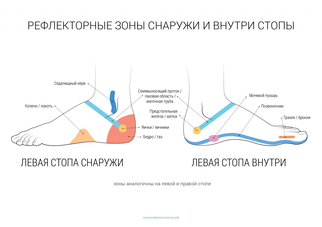 Массаж простаты сам себе отзывы