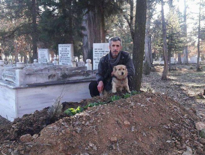 LСердце мужчины было разбито когда он понял куда убегает песик каждый день