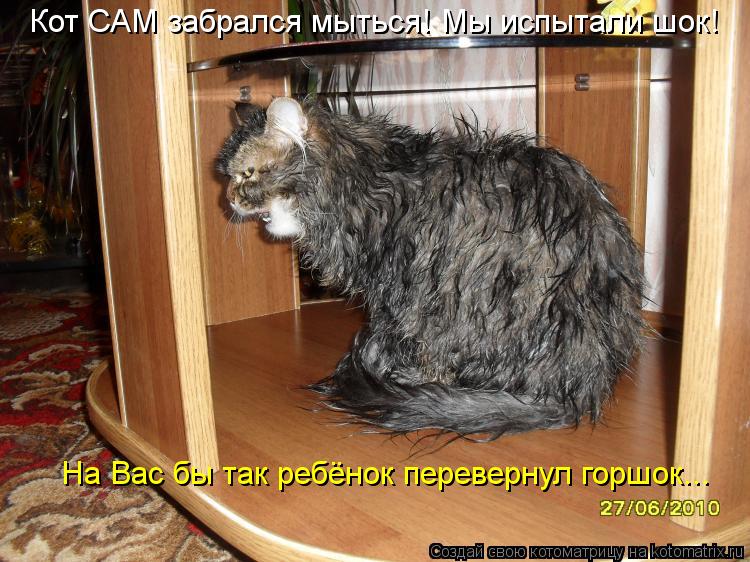 Пятничная котоматрица! Пятничная котоматрица!