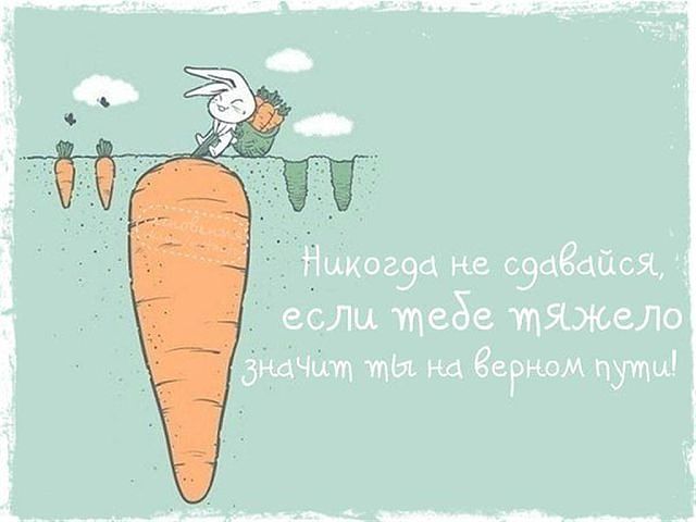 Прикольные, позитивные фразочки в картинках Прикольные, позитивные фразочки в картинках