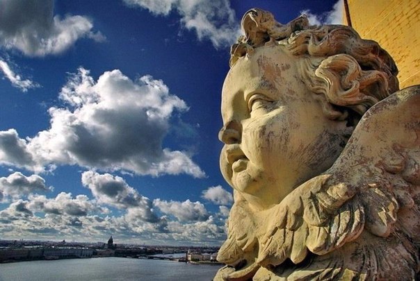 Загадочные обитатели петербургских крыш Загадочные обитатели петербургских крыш