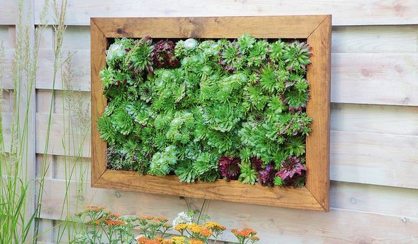 �������-�������