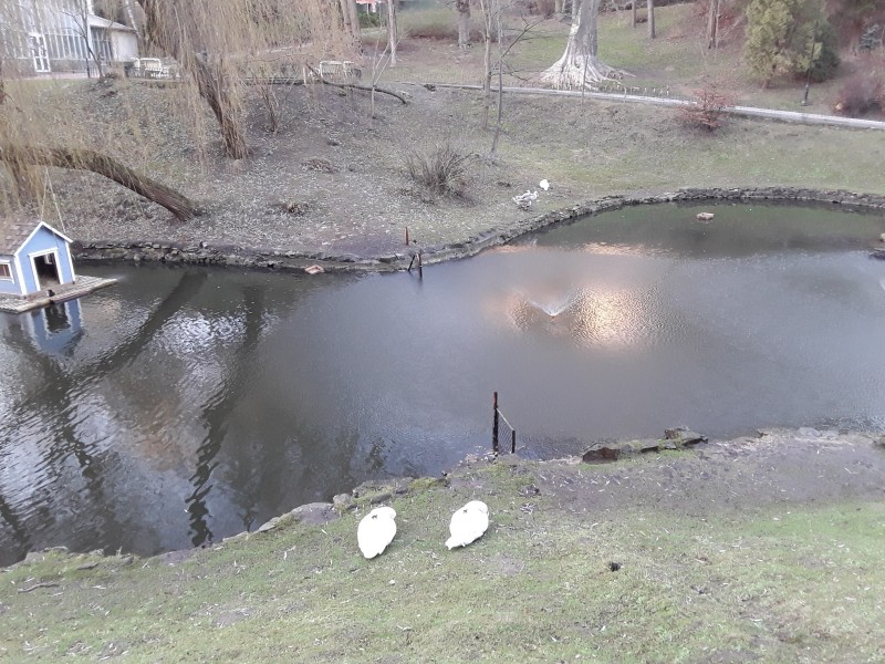 Декабрьская жара в Стрыйском парке