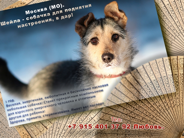 3045391_002_1_ (700x525, 329Kb)