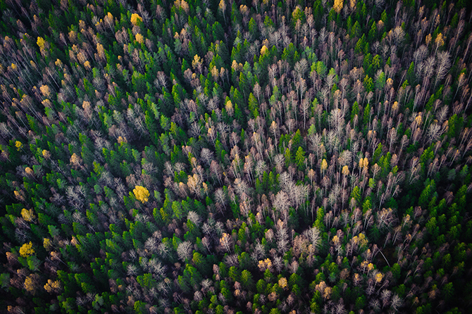 Россия в лучших фотографиях клуба National Geographic