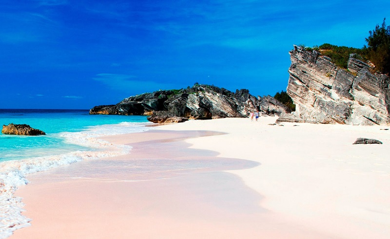 Розовый пляж на острове Харбор, Багамские острова. Фото
