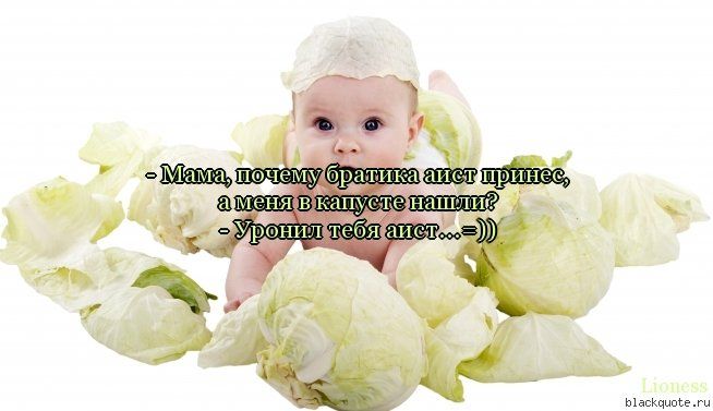 Прикольные цитаты в картинках Прикольные цитаты в картинках