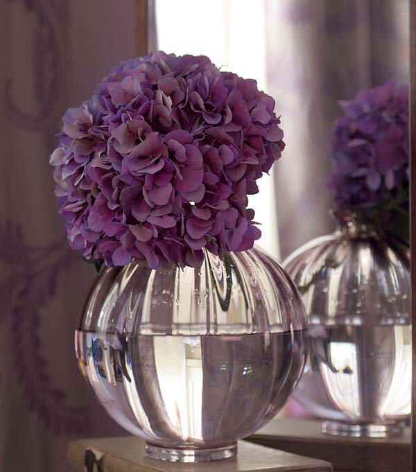   .      Laura Ashley