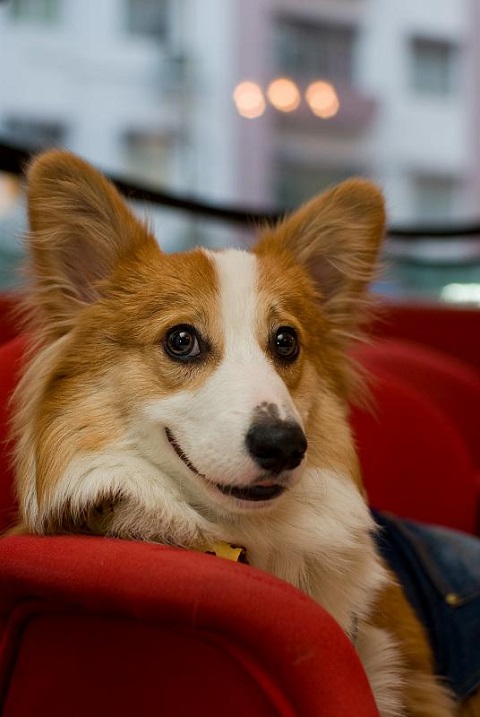 ������ ����� �����-�����. ����